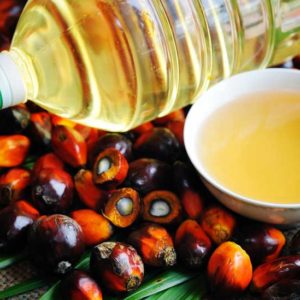 Palm olien oil for sale