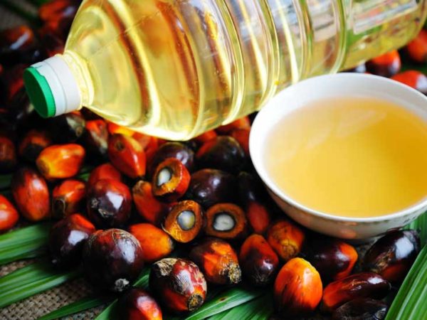 Palm olien oil for sale