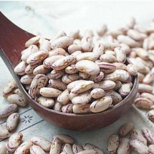Light Speckled Kidney Bean