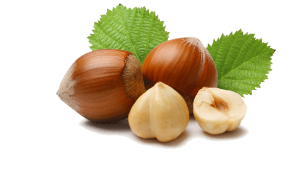 Hazelnuts for sale