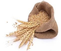 Wheat for sale